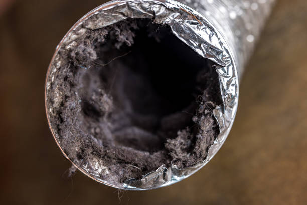 Best HVAC Duct Inspection Services  in Prichard, AL