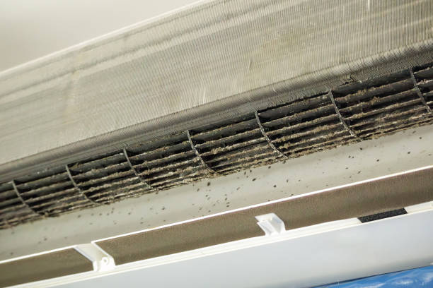 Best Home Air Vent Cleaning  in Prichard, AL