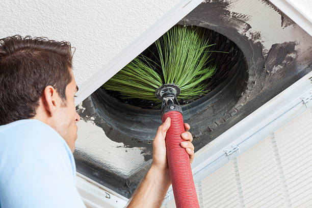 Air Duct Mold Removal in Prichard, AL