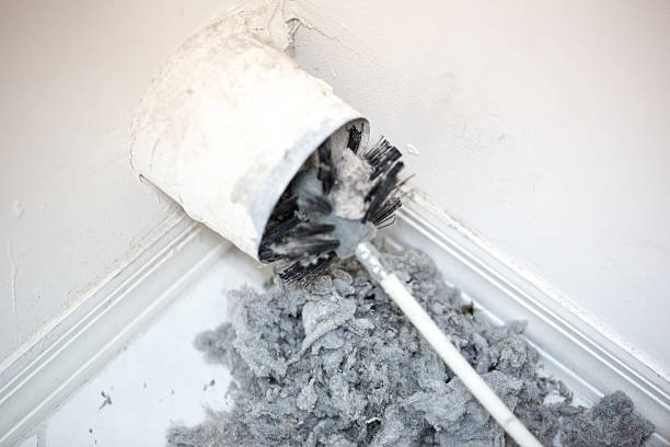 Best Affordable HVAC Duct Cleaning  in Prichard, AL